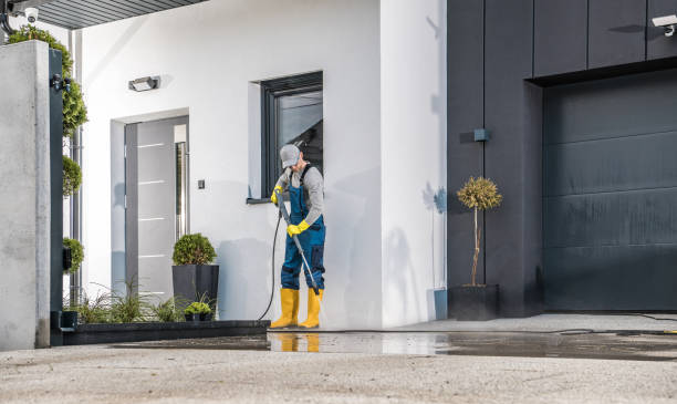 Best Rust Removal  in Meadowbrook, AL